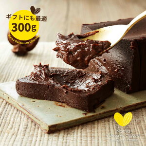 母の日 極上の口溶け 生 ガトーショコラ 送料無料 300g ショコラテリーヌ チョコレート チョコレートケーキ 高級 濃厚 入学祝い ホワイトデー バレンタインチョコ 生チョコ フォンダン ショコラ スイーツ ケーキ 人気 グルテンフリー 化学調味料不使用 保存料不使用 ギフト