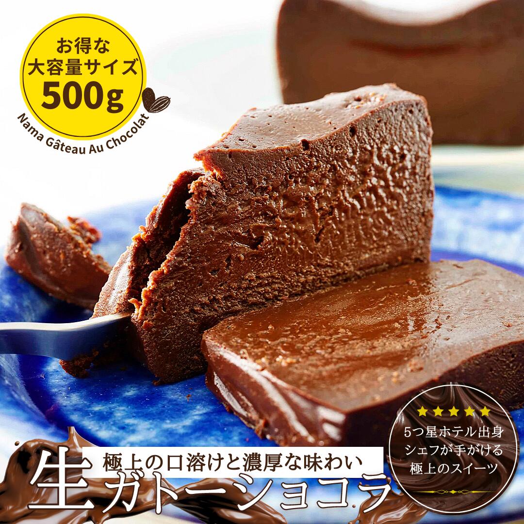 父の日 5/31まで ポイント15倍 500g 極上の口溶け 生 ガトーショコラ 母の日 高級 濃厚 送料無料 人気 ショコラテリーヌ チョコテリーヌ チョコレート ケーキ グルテンフリー サステナブル エシカル スイーツ ギフト 生チョコ スイーツ 父の日 お中元 誕生日 御祝 内祝