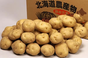 送料込み最高級越冬じゃがいも北海道ニセコ 曽我(ソガ)男爵 Lサイズ5Kg約30個関西200円引き中部、関東以北500円引き