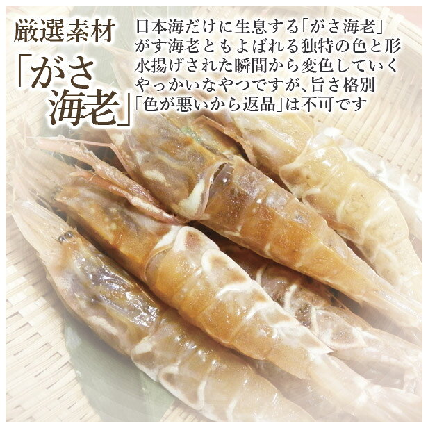 お中元　海鮮 ギフト 寿司 [冷蔵]極上 がさえび寿司を福井から　届いたその日が旬の味わい[生鯖寿司お取り寄せの萩] namasabazushi-10000203 生さば寿司 越前 萩 サンプル画像2