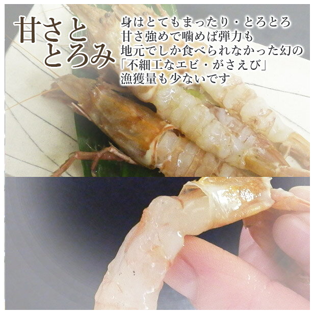 お中元　海鮮 ギフト 寿司 [冷蔵]極上 がさえび寿司を福井から　届いたその日が旬の味わい[生鯖寿司お取り寄せの萩] namasabazushi-10000203 生さば寿司 越前 萩 サンプル画像3