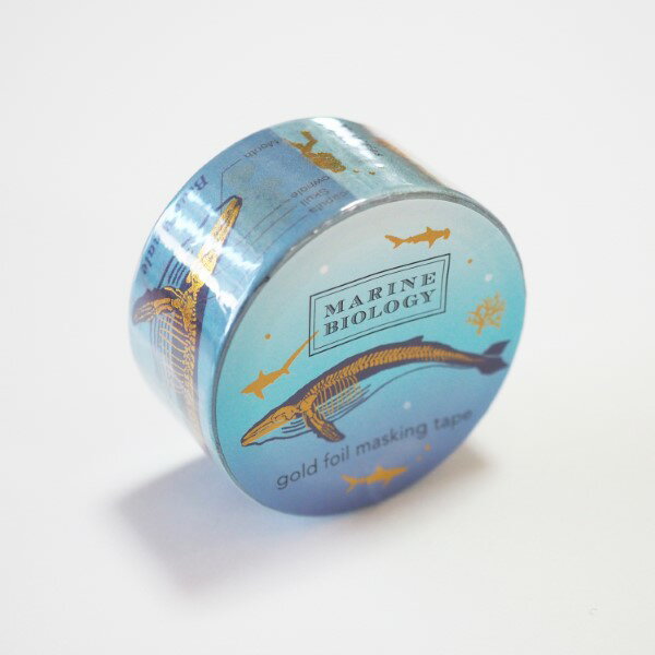 スタディーホリック STUDY HOLIC 金箔マスキングテープ (海洋生物学) ST-200 blue 青色 ブルー 幅20mm てーぷ マステ MARINE BIOLOGY ペンギン クラゲ ウミガメ サメ タコ アザラシ クジラ ハコフグ 海の生き物 グリーンフラッシュ GreenFlash (メール便可!!)