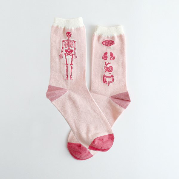 GARAPAGOSOCKS 靴下 STUDY HOLIC  ST-220 くつ下 1組 布製品 じんるいせいぶつがく 学問 HUMAN PHYSIOLOGY 人 生体 脳 肺 心臓 胃 腸 学問 仕事 病院 ガラパゴスソックス gift プレゼント ギフト おしゃれ グリーンフラッシュ GreenFlash (メール便可!!)