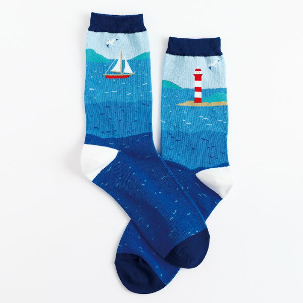 靴下（1000円程度） GARAPAGOSOCKS 靴下 [sea] GP-045 くつ下 1組 布製品 シー 海 船 ヨット カモメ 灯台 ガラパゴスソックス gift プレゼント ギフト おしゃれ 　グリーンフラッシュ GreenFlash (メール便可!!)