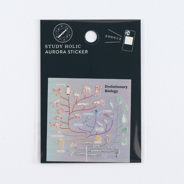スタディホリック STUDY HOLIC オーロラステッカー ST-361 [進化生物学] 生物進化 evolutionary biolog..