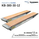 アルミブリッジ 昭和 KB-300-30-12 12トン(12t) ツメ式 全長3000/有効幅300(mm) 2本 組