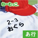 アイロンで貼る ゼッケンやお布団カバーなどに フロッキーネーム特大◆あ行◆ 2枚入 ワッペン ひらがな 体操服 保育園 文字