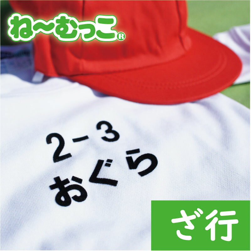 フロッキーネーム特大◆ざ行◆ 2枚入　【日本製】 ワッペン 