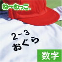 フロッキーネーム特大◆数字 ハイフン−も有ります◆ 2枚入 体操服に お昼寝布団に アイロン クラス名 名前シール ゼッケン