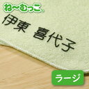 お名前シール 布用 アイロン 衣類用フロッキーネーム 大 ラージサイズ 約12mm 30枚入