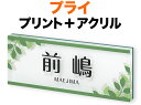 表札 プライシリーズ 機能門柱用 戸建て デジタルプリント 枝葉・ライン 透明アクリル 文字-ブラック 200×80 17mm 日本語/英字 丸フォーク体 優しい グリーン 自然 優しい 静 奥行き感 立体感 存在感 横型 長方形 PYY-12-12