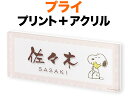 表札 スヌーピー ピーナッツコレクション プライシリーズ 機能門柱用 戸建て デジタルプリント スヌーピー&ウッドストック柄 透明アクリル 文字-ブラウン 200×80 15mm 日本語-なごみ体/英字-隷書体 お洒落 落ち着き かわいい 親近感 立体感 存在感 横型 長方形 SPPYY-4