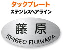 表札 タックプレート カッティングシート 機能門柱用 戸建て ステンレス 英字/日本語 220×110 1.5mm 丸ゴシック体 視認性が高い書体 現代的 シンプル 正統派 懐かしい上品 洗練 真面目 無機質 閑靜 クール はっきり 静 整 粛然 カジュアル 立体感 存在感 横長 楕円形 TP-81