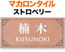 表札 タイル(焼き物) マカロンタイル 機能門柱用 戸建て 陶器タイル ベース色/ストロベリー 文字/白 葉柄フレーム/素彫り 195×96 8mm 日本語-明朝体/英字-フリッツ体 上品 スタイリッシュ かわいい お洒落 優しい パステル調 横型 長方形 KR-3-3