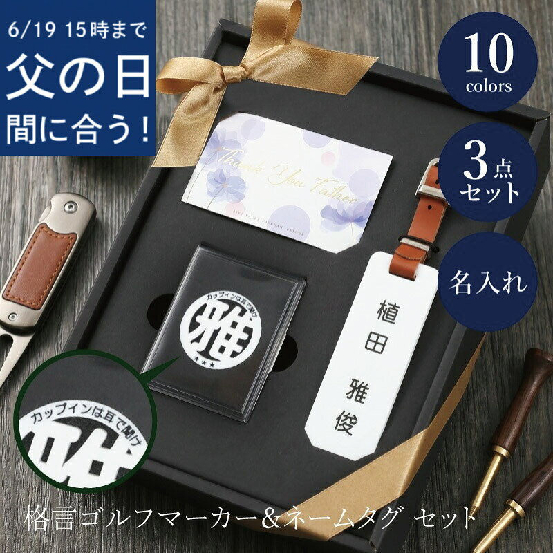 ＼19日15時まで★本州のみ6/21お届け指定OK／ 父の日 プレゼント 実用的 ゴルフ ネ...