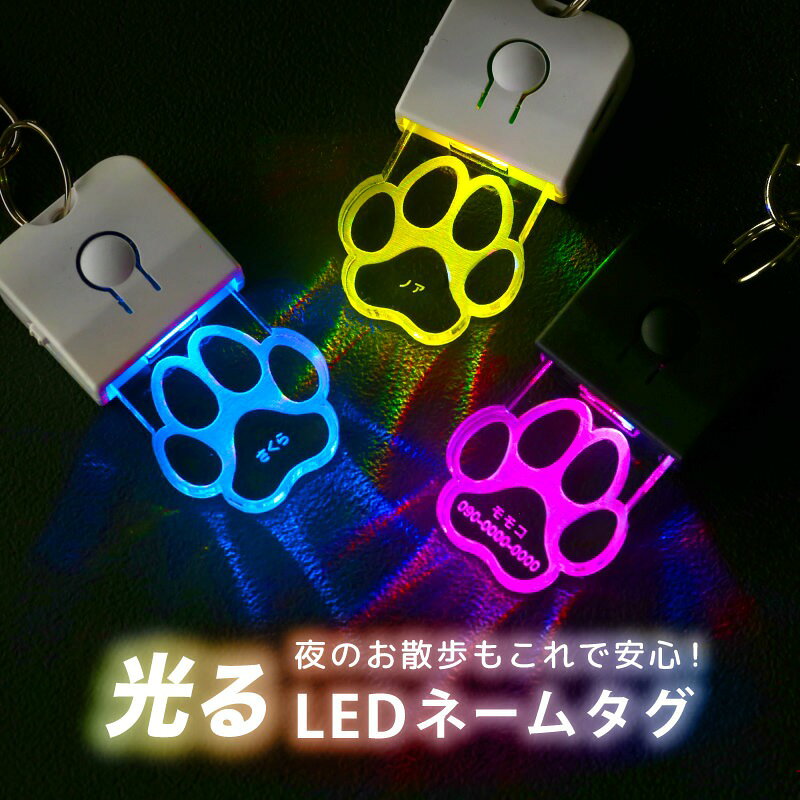 ペットタグ ペット 迷子札 名入れ 【 LED迷子札 】ledライト キーホルダー ネーム...