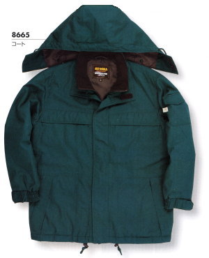 8665 ɻɴ ӥåܡBIGBORNɴ塦ɴ M5L ݥꥨƥ6535ʺݥꥨƥ65󡦥ݥꥨƥ35