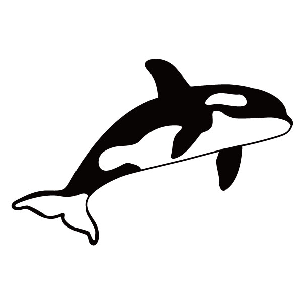 【ステッカー】 シャチA 選べるサイズ・カラー かっこいいシャチ/魚/海洋生物 車のドレスアップに/ステッカー/おしゃれステッカー/アクリルプレート/パーテーション/車/ガラス/窓/スケボー/装飾/デコ/ [メール便送料無料]