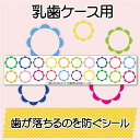 [組合せ販売専用] 当店専用 乳歯ケース用 歯が落ちるのを防ぐシール 1枚+予備1枚 落下防止シール オリジナルシール