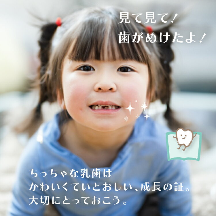 【絵本型 乳歯ケース】 かわいい絵本型の乳歯ケース 写真が貼れる 日本製 絵本 桐 ...