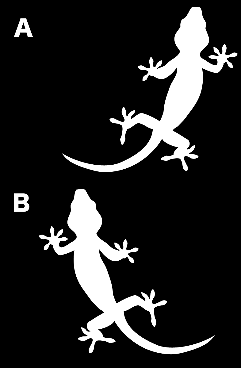 携帯電話・スマホ等に！ 【車やバイクにも！】ヤモリ gecko/ゲッコー/やもりステッカー【カラー10種類】傷隠し/キズかくし/キズ隠し/車ステッカー/サーフィンステッカー/防水/ステッカーサーフィン/転写ステッカー [メール便送料無料] ヤモリシリーズ1