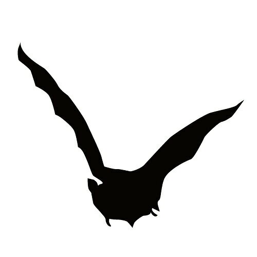 Rakuten - ステッカー コウモリV はばたくコウモリ 狙うこうもり バットマン ハロウィン かっこいい クール/おしゃれステッカー/アクリルプレート/パーテーション/車/ガラス/窓/装飾/デコ/スケボー/かっこいい/【メール便送料無料】