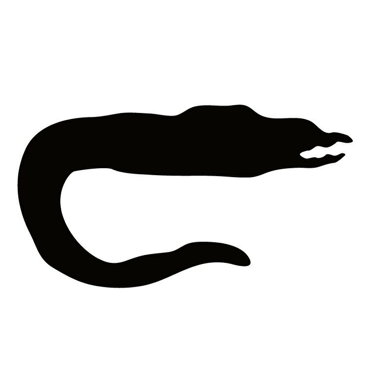 ステッカー ウツボ かっこいい クール/おしゃれステッカー/アクリルプレート/パーテーション/車/ガラス..