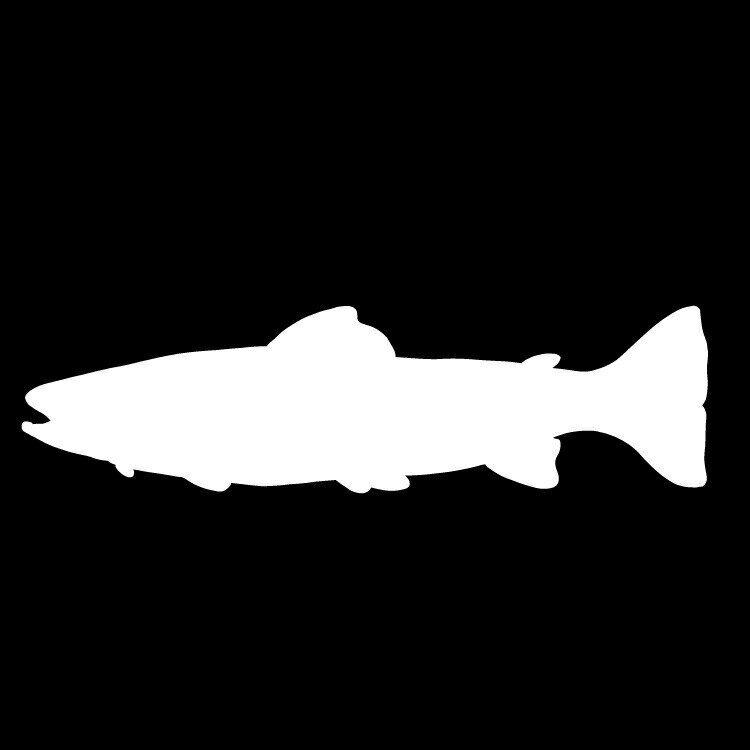 Rakuten - ステッカー さかな あゆ 銀口魚 川の生き物/おしゃれステッカー/アクリルプレート/パーテーション/車/ガラス/窓/装飾/デコ/【メール便送料無料】