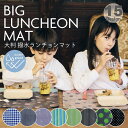 撥水ランチョンマット 大判 40cm×60cm 撥水加工 ビニール ラミネート 給食 テーブル ランチマット 子供用 キッズ 保育園 幼稚園 小学校シンプル 大きい 大きめ マット 拭ける マット テーブルマット プレースマット キッチン インテリア キズ防止 おしゃれ かわいい