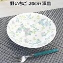 野いちご 20cm 深皿 クープ 盛皿 おしゃれ 洋食 パスタ サラダ カレー きれい 日本製 美濃焼 陶器 ホテル レストラン 丸型 食器 おうちカフェ アンティーク フレンチ 収納 母の日 実用品 洋食器 和食器