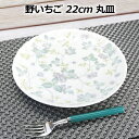 野いちご 22cm 丸皿 プレート おしゃれ 洋食 パスタ デザート きれい 日本製 美濃焼 陶器 丸型 中皿 食器 おうちカフェ アンティーク フレンチ 収納...