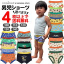 【MAX7%OFFクーポン】 \ランキング1位/ 4点以上送料無料 キッズ パンツ 下着 子供 男の子 ボクサーパンツアンパサンド 新作 新柄 20柄ボクサー&...