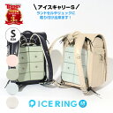 アイスキャリー Sサイズ アイスリング 男の子 女の子 子供服 キッズ ベビー SUO ICE RING クールリング 冷却シート リュック ランドセル ICE CARRY 車 車内 お昼寝 まくら ペット おそろい かっこいい かわいい 夏 夏物 ベビーカー エフオー 熱中症対策 暑さ対策 SUO×FO