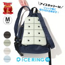 ★★★★★★★★★★2023年新作★★★★★★★★★★ 【2022年累計34万本以上販売】アイスリング シリーズ ひんやりグッズ「ICE CARRY アイスキャリー」は 「ICE RING アイスリング」と同じ技術で作られた 冷却クッション。28℃以下で自然に凍結し、 手軽に暑さ対策ができるので、屋外屋内どこでも繰り返し お使いいただけるアイテムです。 ランドセルやリュックサックの肩ベルトに装着して、 背中を冷却してくれるICE CARRY。 暑さ対策だけでなく、ちょっとした外出時や アウトドア用品（保冷剤）としても注目のアイテムです。 シンプルなカラーで男の子女の子どちらも◎ 直接肌につけることで身体の熱を吸収し、 心地よくクールダウン。身体にこもった熱を逃がします。 ポイント1：28℃以下で自然凍結 ポイント2：結露しないから快適 ポイント3：適度な冷却が持続 ポイント4：何度でも繰り返し使える 【サイズ】 約H30cm×W(上)19cm・(下)25cm 【カラー】 カーキ ライトグレー ブラック サックス 【材質】 ＜外側＞TPU ＜内容物＞Temperture Control Ingrediment(温度制御成分) ＜重量＞360g±15g 【注意事項】 ・本来の用途以外でのご使用はお控えください。 ・鋭いもので本体を刺したり、傷つけたりしないでください。 ・凍ったり溶けたり（固体?液体）を繰り返すため、多少形の 　変化がある場合がございますが、使用上問題はございません。 ・生産工程上まれに内容物に小さな物質が混入する 　場合がありますが、使用上に問題はございません。 ・破損等、内容物が流出した場合はただちに 　ご使用を中止してください。 ・内容物が手についたり、目に入った場合は水で洗い流して 　ください。(異常があらわれた場合は専門医にご相談ください) ・子供と幼児の手の届かない所に保管してください。 ・高温、火のそばに置かないでください。 ・表面が汚れた場合は水洗いしてください。 ・保管する場合は内容物のかたより防止のため、 できるだけフラットな場所で横にして保管してください。 ・口に含まないでください。アイスキャリー Mサイズ アイスリング 男の子 女の子 子供服 キッズ ベビー SUO ICE RING クールリング 冷却シート リュック ランドセル ICE CARRY 車 車内 お昼寝 まくら ペット おそろい かっこいい かわいい 夏 夏物 ベビーカー エフオー 熱中症対策 暑さ対策 SUO×FO アイスキャリー Mサイズ アイスリング 男の子 女の子 子供服 キッズ ベビー SUO ICE RING クールリング 冷却シート リュック ランドセル ICE CARRY お昼寝 熱中症 2