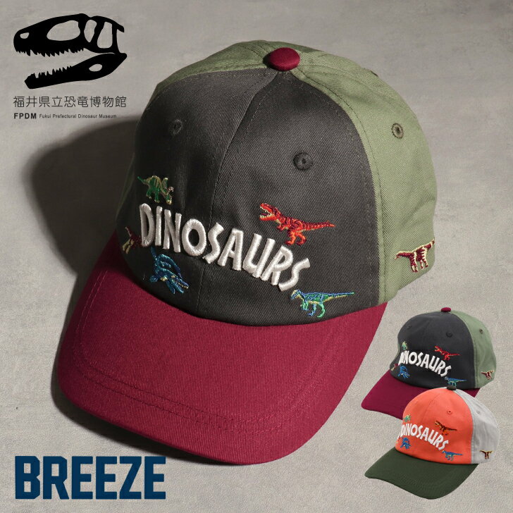 楽天おもちゃ知育玩具と子供服namoseeほぼ全品クーポンあり BREEZE 福井県立恐竜博物館コラボ 恐竜 帽子 キャップ 刺繍 男の子 女の子 ブリーズ 子供服 キッズ ベビー アウター ジャンパー ジャケット ブルゾン サテン おしゃれ かっこいい 秋 秋物 秋冬 冬物 新作 エフオー FO J468902