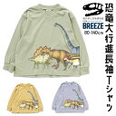 7 OFFクーポンあり BREEZE 福井県立恐竜博物館コラボ 恐竜 長袖Tシャツ ロンT アウター 長袖 恐竜 スカジャン 刺繍 男の子 女の子 ブリーズ 子供服 キッズ ベビー ジャンパー ジャケット ブルゾン おしゃれ かっこいい 秋 秋物 秋冬 冬物 新作 エフオー FO J406952