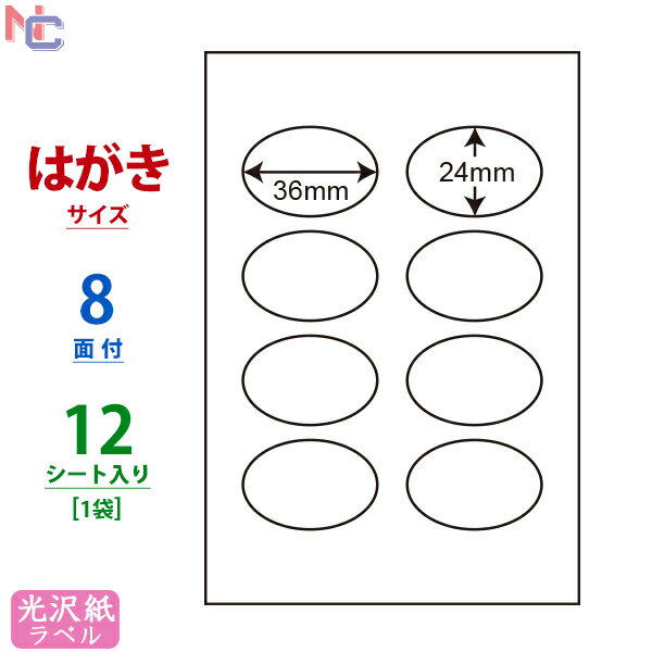 SCJH5(S) V[ ȉ~x ȉ~`V[ ی^V[ 򎆃xV[ J[CNWFbgv^p iiNGCg 򃉃x 36~24mm ͂V[g ȉ~^ 8ʕt 12V[g