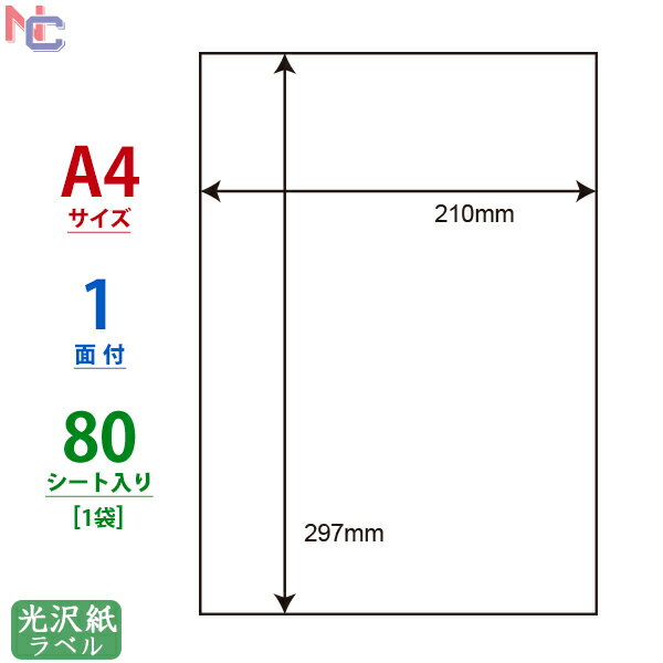 SCL-7(L) ϐ򃉃xV[ SCL7 J[[U[v^p 򎆃V[ 210~297mm A4TCY m[Jbg 唻TCY 1ʕt 80V[g