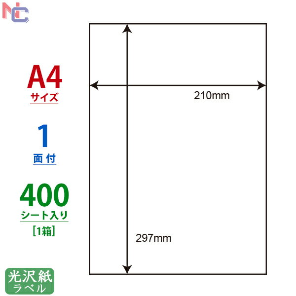 SCL-7(VP) ϐ򃉃xV[ SCL7 J[[U[v^p 򎆃V[ 210~297mm A4TCY m[Jbg 唻TCY 1ʕt 400V[g