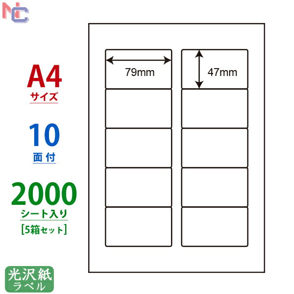 SCL-21(VP5) ϐ򃉃xV[ SCL21 J[[U[v^p 򎆃V[ 79~47mm 10ʕt 2000V[g