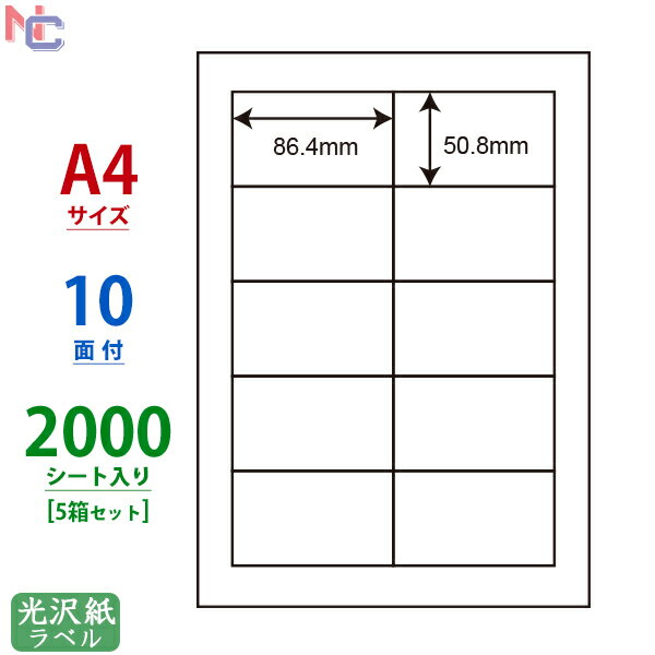 SCL-43(VP5) ϐ򃉃x 10ʕt SCL43 J[[U[v^p 򎆃V[ 86.4~50.8mm 2000V[g