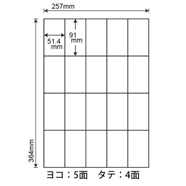 E20SF(L) ナナコピー マルチタイプラベル再剥離タイプ レーザー・インクジェットプリンタ両用 東洋印刷 91×51.4mm 余白無し B4シート 20面付け 100シート入り 2