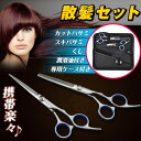 散髪 セルフカット 5点セット ハサミ スキバサミ くし 潤滑油 収納ケース付き 散髪ハサミ ヘアカット 自宅 子供 大人 家庭用