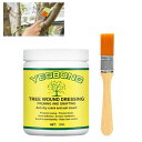 植物癒合剤 植物治癒クリーム 樹木切り口保護剤 植物治癒ペースト 盆栽癒合剤 植物成長調整剤 樹木剪定シーラー 樹木修復剤 樹木癒合剤 切り口保護剤 ブラシ付き