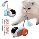 猫おもちゃ 自動式 電動ネズミ ねずみ ネコ ねこ 猫遊び 電動おもしゃ オート/リモート モード切り替え 障害物自動回避 USB充電式 天然羽根 運動不足 ス...