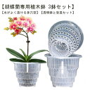 胡蝶蘭専用 植木鉢 3鉢セット 胡蝶蘭の植え替え 鉢 受皿付き 多穴型 通気性抜群 根腐れ防止 直径12cm 直径15cm 排水穴付き プラスチック おしゃれ 蘭の鉢 観葉植物の鉢 透明 クリア 根が見える鉢 多肉植物 洋蘭 胡蝶蘭 送料無料