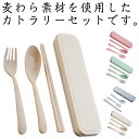 麦わら カトラリーセット お弁当 フォーク スプーン 箸 4点セット 収納ケース付き エコ 大人 携帯用カトラリーセット 弁当用 お弁当用 男子 女子 通勤 通...