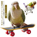 鳥玩具 スケートボード ショッピングカート ペット用品 インコ おもちゃ ミニ スケートり物 鳥 立て 訓練知育玩具 訓練 知育 玩具 強化された運動 ストレス...