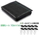 防草シート 10m×1m 雑草対策 厚手 高密度 高透水 高耐久 遮光 庭 通路 物干し場 畑 ウッドデッキ 資材置き場 ピン10本付 芝生 tec-bsshe...