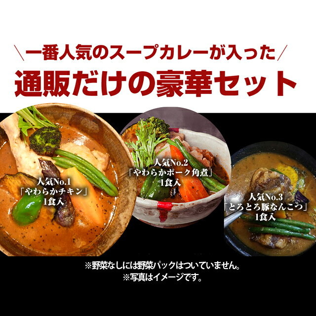 スープカレー 送料無料 剛家の南国スープカレー人気ランキング3食入り 野菜なし　メーカー直送 同梱不可代引不可 送料無料 お中元 ギフト プレゼント 御中元 記念日 内祝い お歳暮 nanairo-kyusyu-10002256 なないろ九州 サンプル画像2